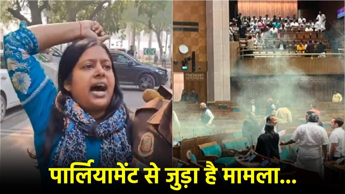 नीलम आजाद कौन? जिसकी जमानत याचिका का दिल्ली पुलिस ने किया विरोध