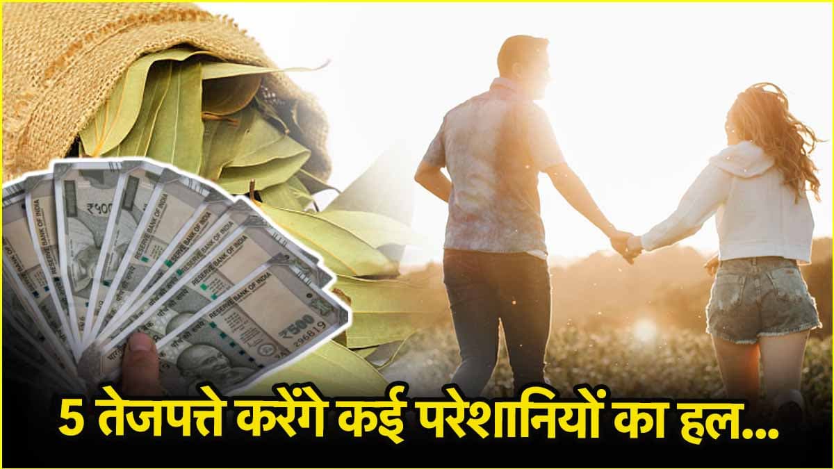 Bay Leaves Remedies: पैसों की कमी से लेकर लव लाइफ की समस्याएं होंगी खत्म! करें तेजपत्ते के ये 5 अचूक उपाय