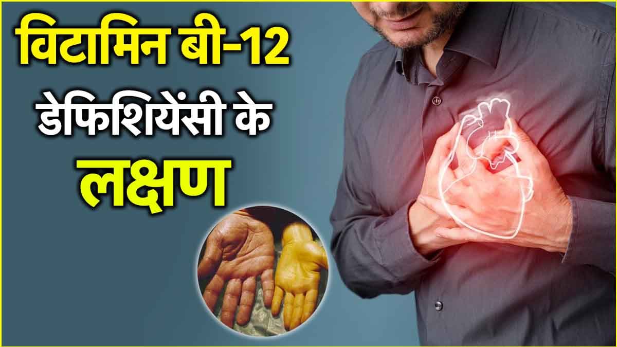 बॉडी में रोज दिखते हैं विटामिन बी-12 की कमी के ये संकेत, एक्सपर्ट से जानें सही इलाज