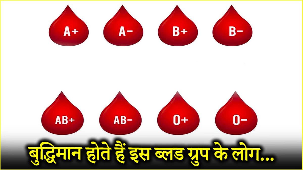 किस ब्लड ग्रुप के लोग होते हैं सुपर इंटेलिजेंट? चाणक्य की बुद्धि भी जिनके आगे फेल