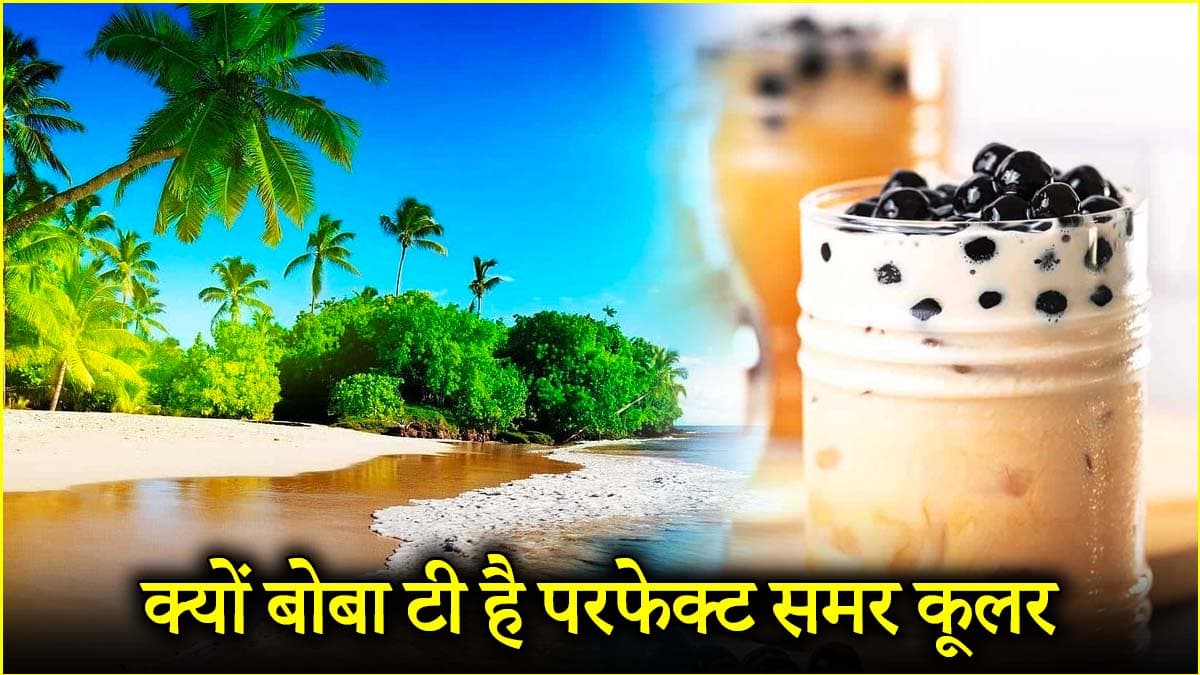 Summer Health Tips: गर्मियों में क्यों बन गई बोबा टी हर किसी की फेवरेट ड्रिंक? जानिए इसकी खासियत