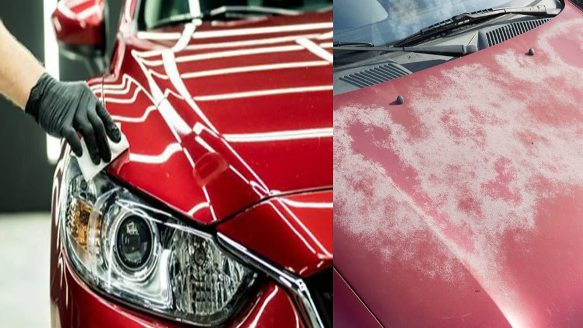 Car paint