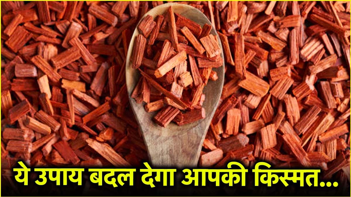 43 दिन तक करें चंदन की लकड़ी का ये उपाय, 'सूर्य' की कृपा से बन सकते हैं मालामाल