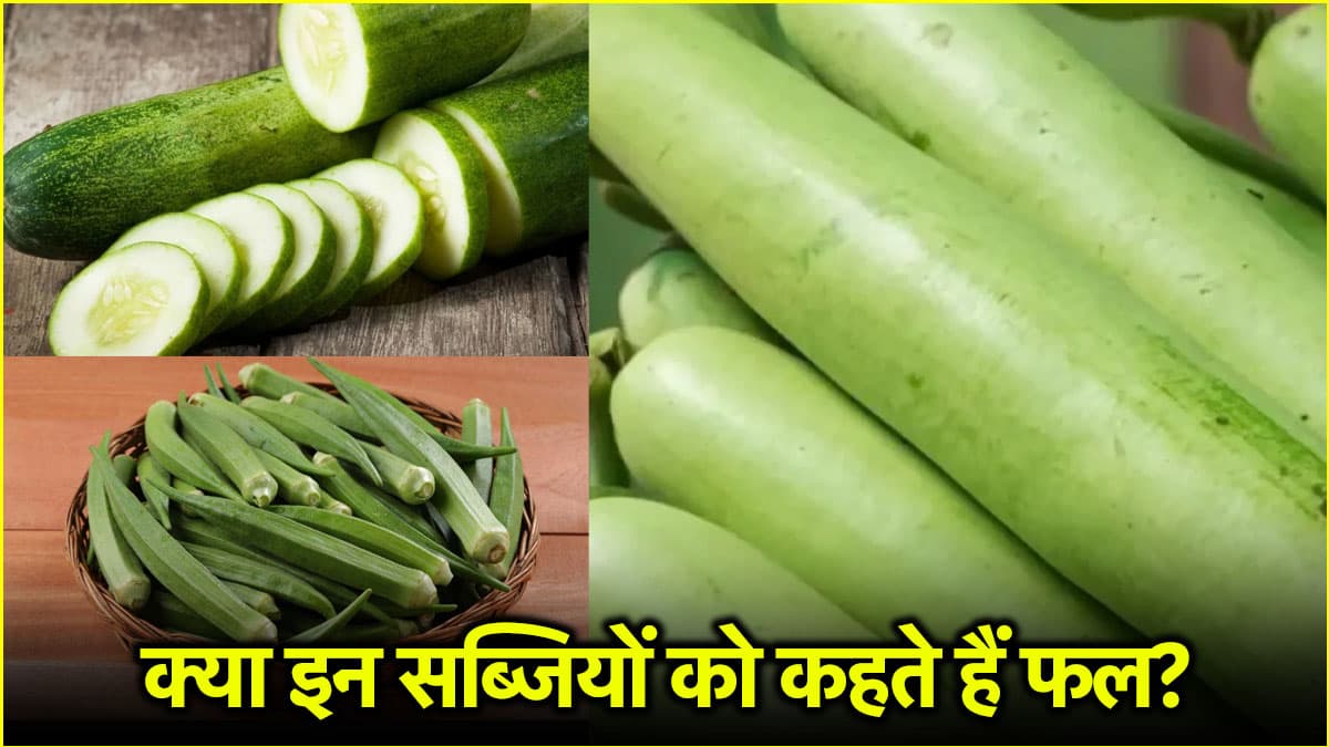 क्या बीज वाली सब्जियों को कहते हैं फल, जानें इसके पीछे का राज?