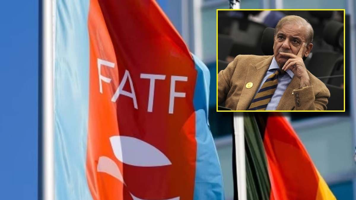 क्या है FATF? जिसकी ग्रे लिस्ट में पाकिस्तान को फिर से शामिल कराना चाहता है भारत