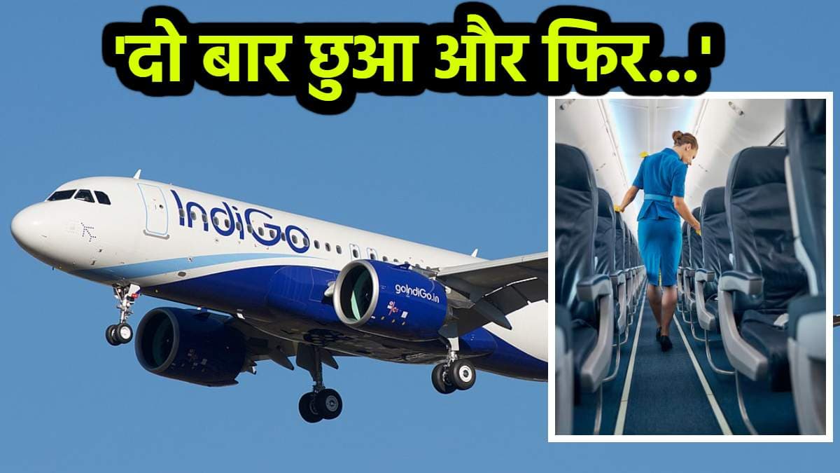 Indigo (1)