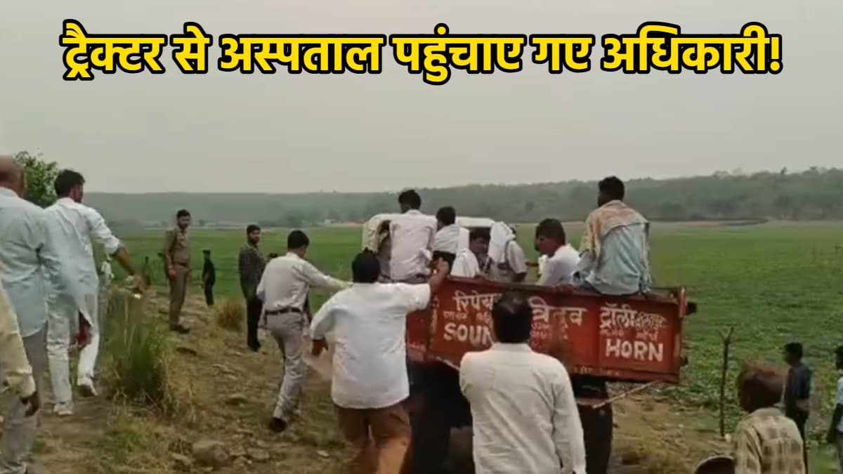 इंस्पेक्शन करने पहुंचे अधिकारियों पर मधुमक्खियों के हमले का वीडियो वायरल, एक शख्स को मारे 500 डंक