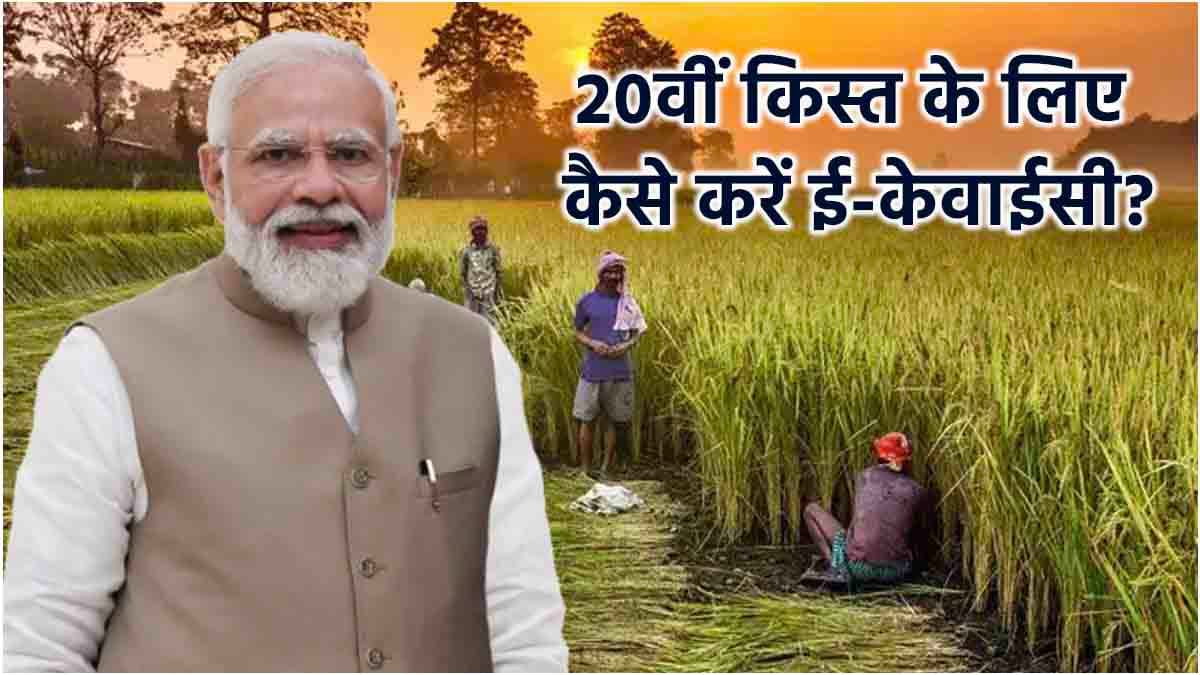 PM Kisan Yojana की 20वीं किस्त के लिए पूरी करनी होगी शर्त, जानें e-KYC क्यों जरूरी
