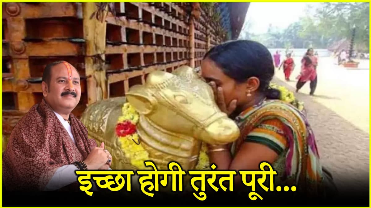 नंदी के कान में मुराद बोलने से पहले कहें ये शब्द, पूरी होगी मनोकामना, पंडित प्रदीप मिश्रा ने बताया