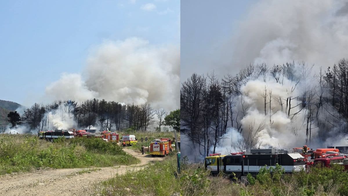 Plane Crash: दक्षिण कोरिया नौसेना का प्लेन क्रैश, चार लोग थे सवार, वीडियो आए सामने