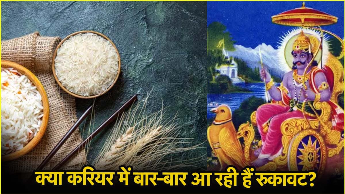 पितरों और कौए को खिलाएं पका चावल, 45 दिन में चमक सकती है आपकी किस्मत