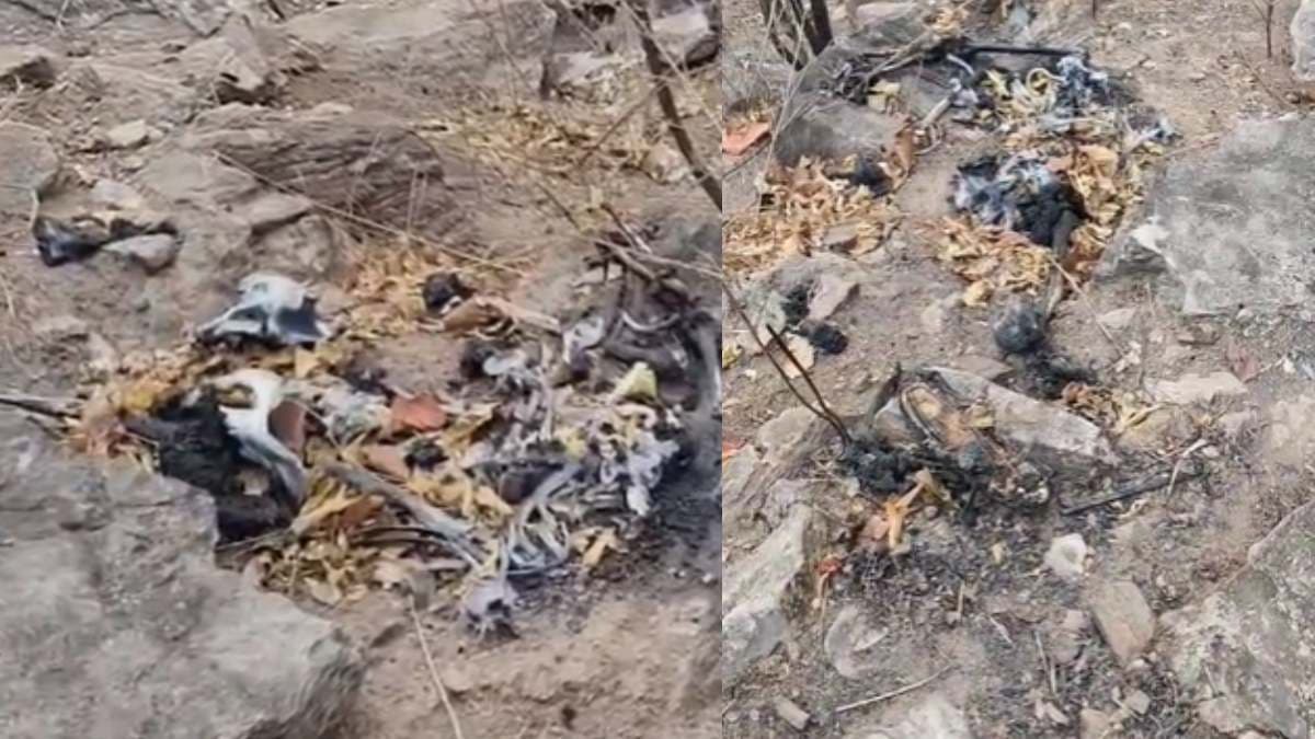 8 महीने से गायब शख्स का मिला जला हुआ कंकाल, ऐसे हुआ खुलासा