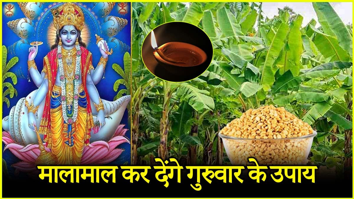 अमीर बनाते हैं गुरुवार के ये 5 उपाय, जल्द से जल्द अपनाएं