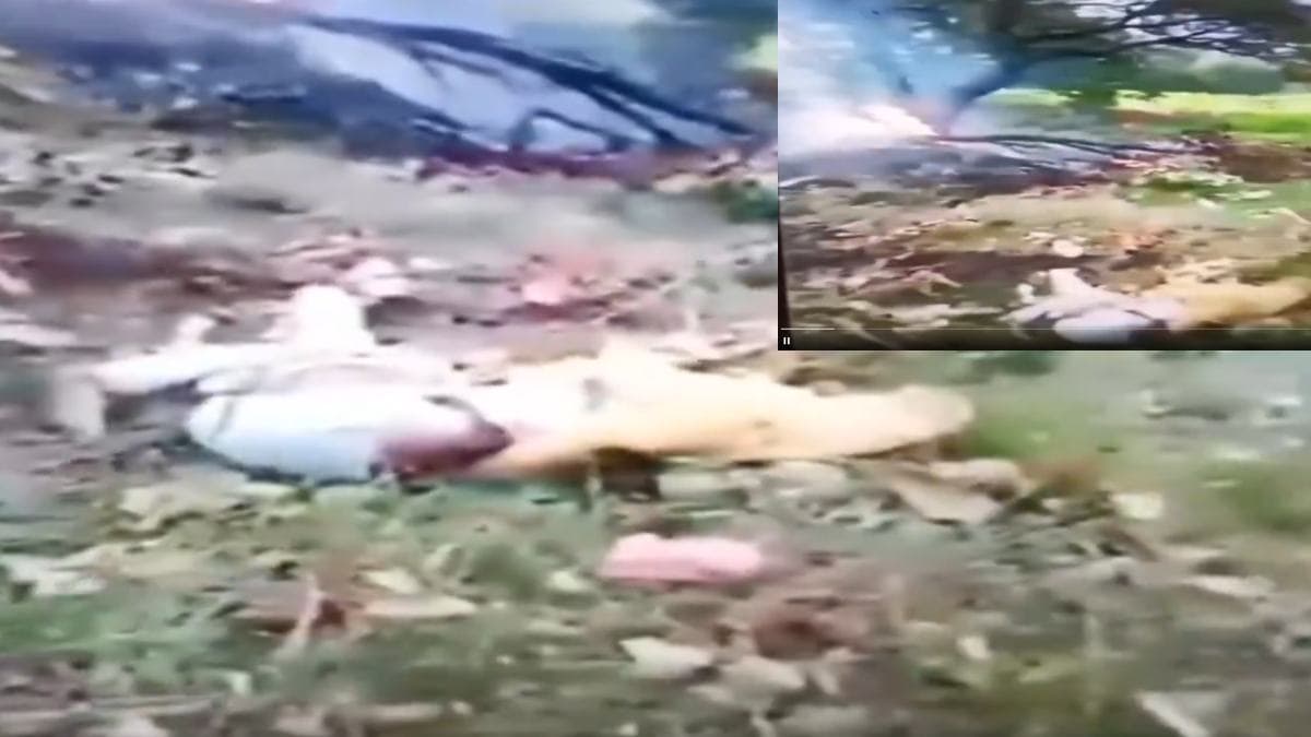 Kedarnath Helicopter Crash: हादसे का पहला वीडियो आया सामने, आगजनी... हेलीकॉप्टर के उड़े परखच्चे