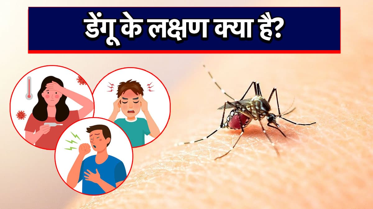 Dengue Symptoms: बुखार को न समझें मामूली हो सकता है डेंगू, डॉक्टर से जानिए संकेत और बचाव के उपाय