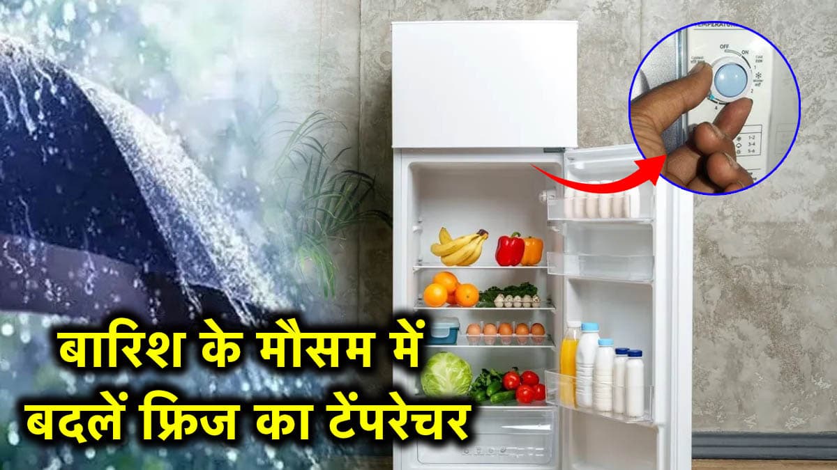 Fridge Temperature: मानसून के मौसम में कितना होना चाहिए फ्रिज का टेंपरेचर? जानें इस्तेमाल करने का सही तरीका
