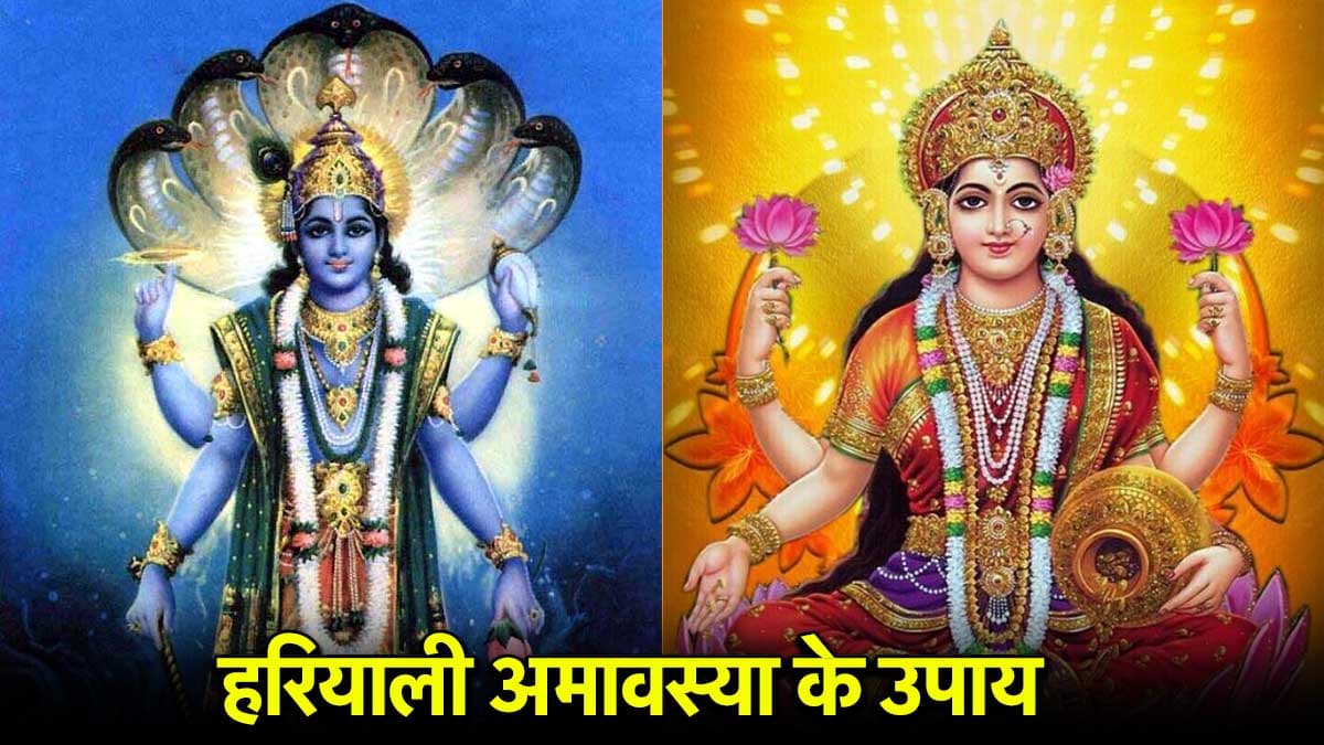 Hariyali Amavasya 2025: सावन की हरियाली अमावस्या पर करें ये 3 उपाय, लक्ष्मी-नारायण की कृपा से दूर होंगे संकट