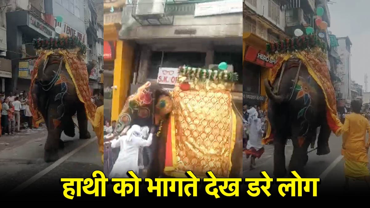 जगन्नाथ रथयात्रा में मची अफरा-तफरी, गुजरात के अहमदाबाद में भीड़ के बीच बेकाबू हुए गजराज