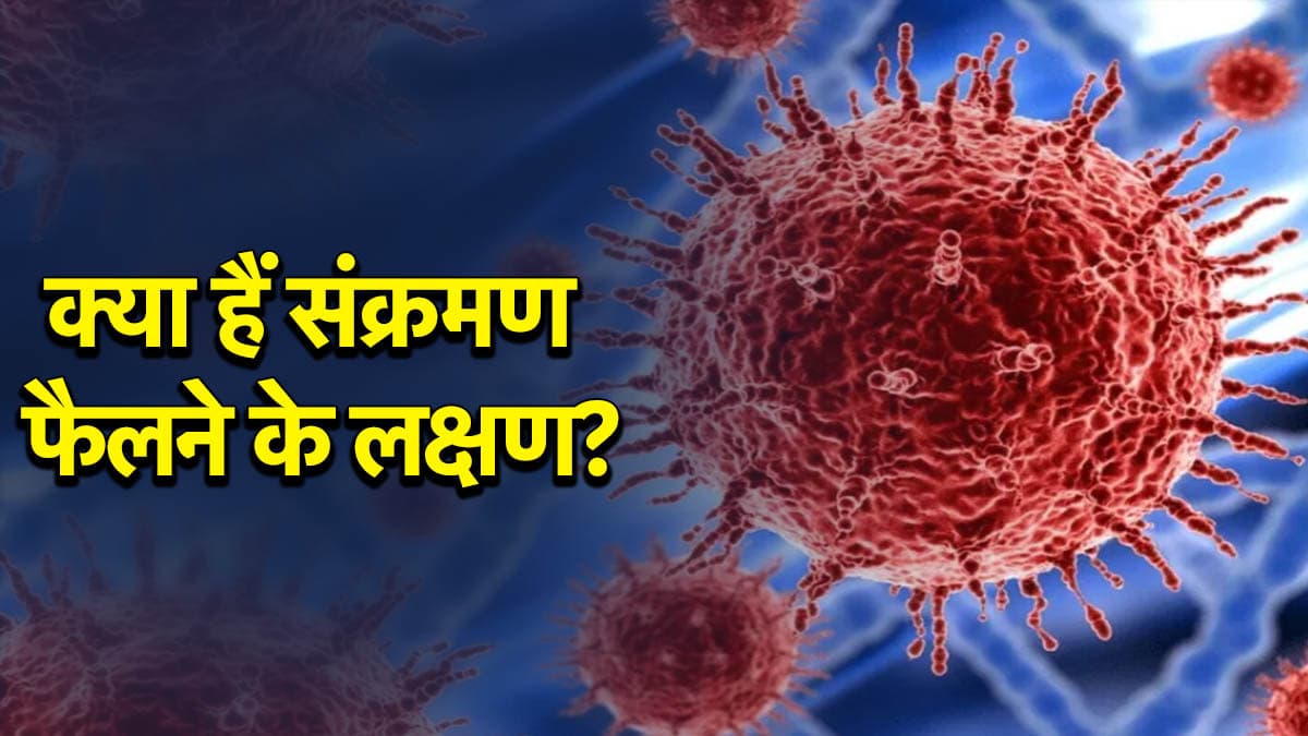 कोरोना जैसी नई महामारी दस्तक दे सकती है? जानें हेनिपा वायरस कितना खतरनाक और कैसे फैलेगा?