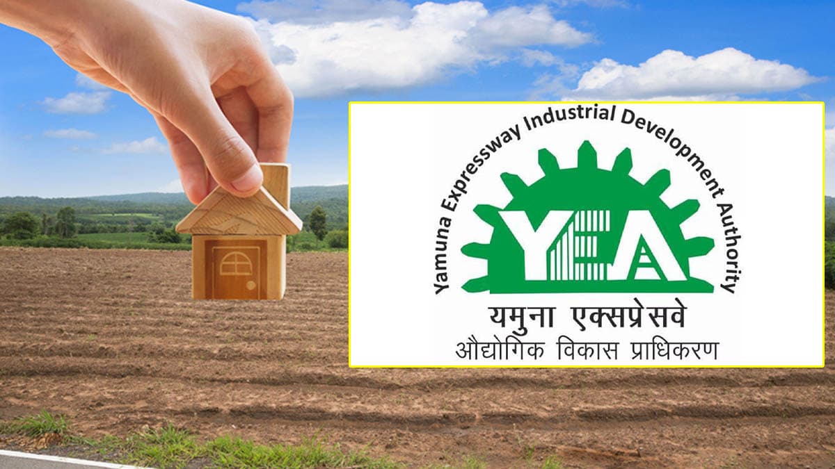 YEIDA ने निकाली नई प्लॉट स्कीम, पैसे जमा करने के क्या हैं नियम? याद कर लें ये 2 तारीख