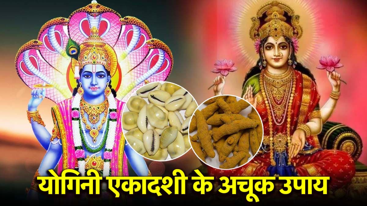 Yogini Ekadashi Upay: आज एकादशी की रात इन 3 उपायों को करना है लाभकारी, पूरी होगी हर इच्छा