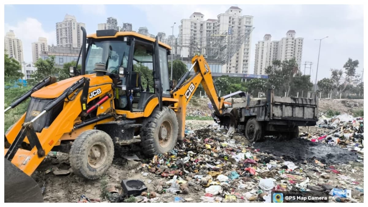 fine jcb