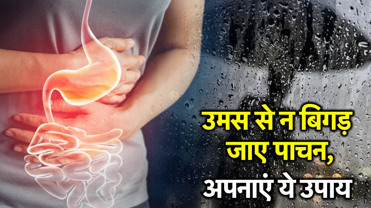 Gut Health Tips: उमस भरे मौसम में पेट को रखें फिट, डॉक्टर ने बताया सही रखने का आसान उपाय