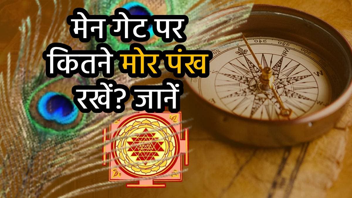 Vastu Tips: ये है घर के दरवाजे पर मोर पंख रखने का सही तरीका और दिशा, तेज होगी बरकत; जल्द बन जाएंगे मालामाल