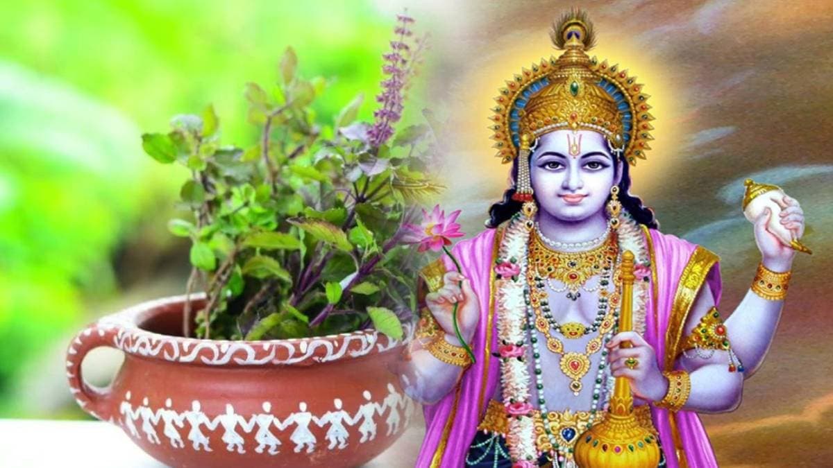 Nirjala Ekadashi Kab Hai: साल की सबसे बड़ी एकादशी के दिन भूल से भी न करें तुलसी से जुड़ी ये 5 गलतियां