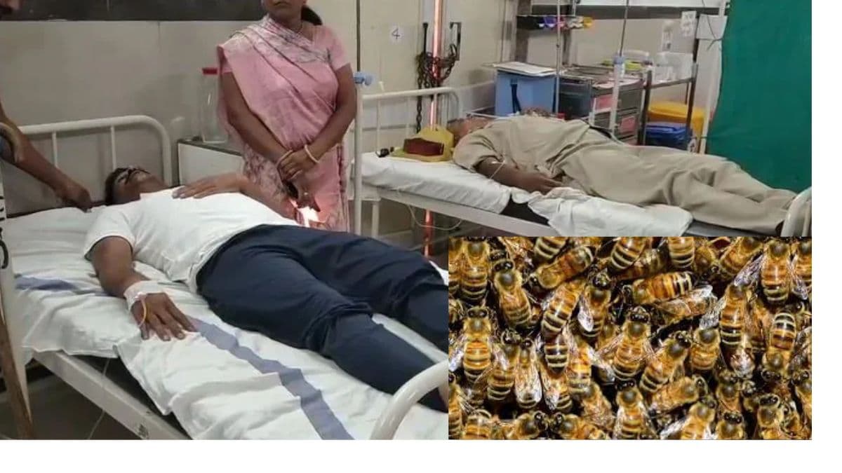उज्जैन में मधुमक्खियों के हमले से इंस्पेक्टर की मौत, 5 पुलिसकर्मी घायल
