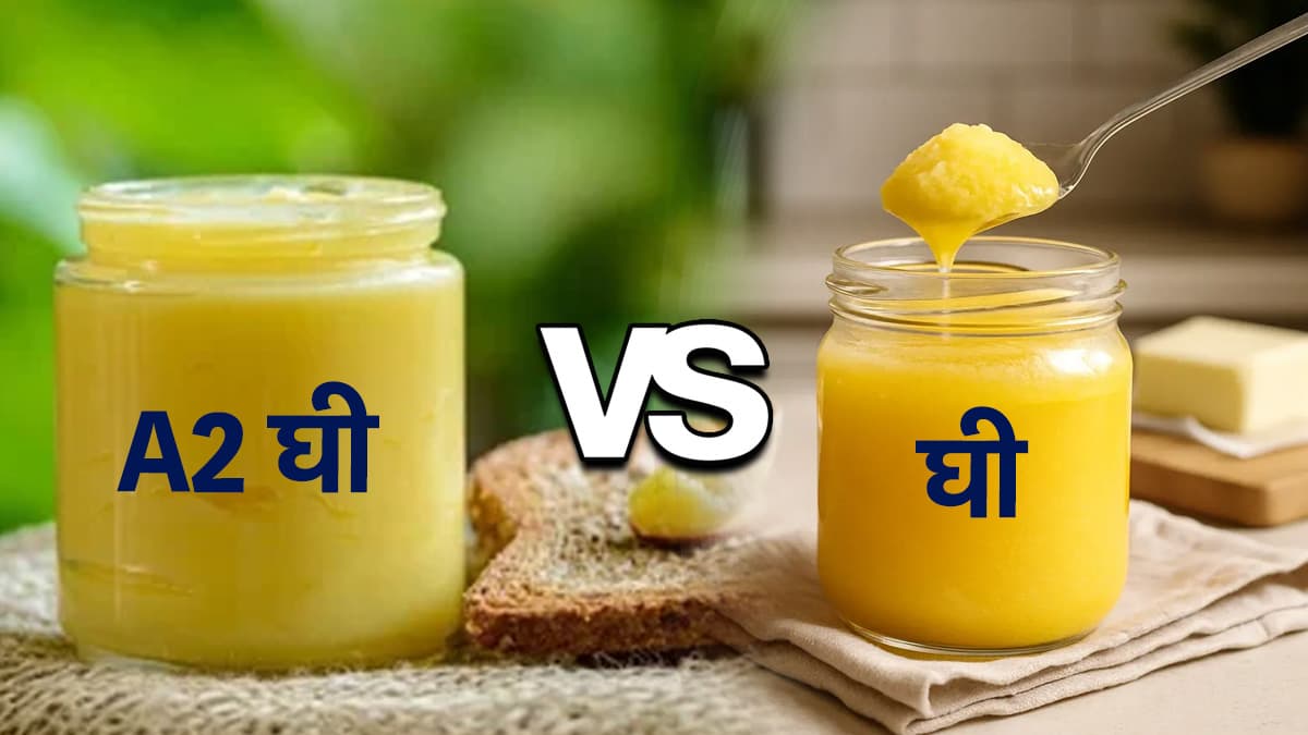 क्या वाकई सेहत के लिए बेहतर है A2 देसी घी? जानिए इस पर एक्सपर्ट की राय