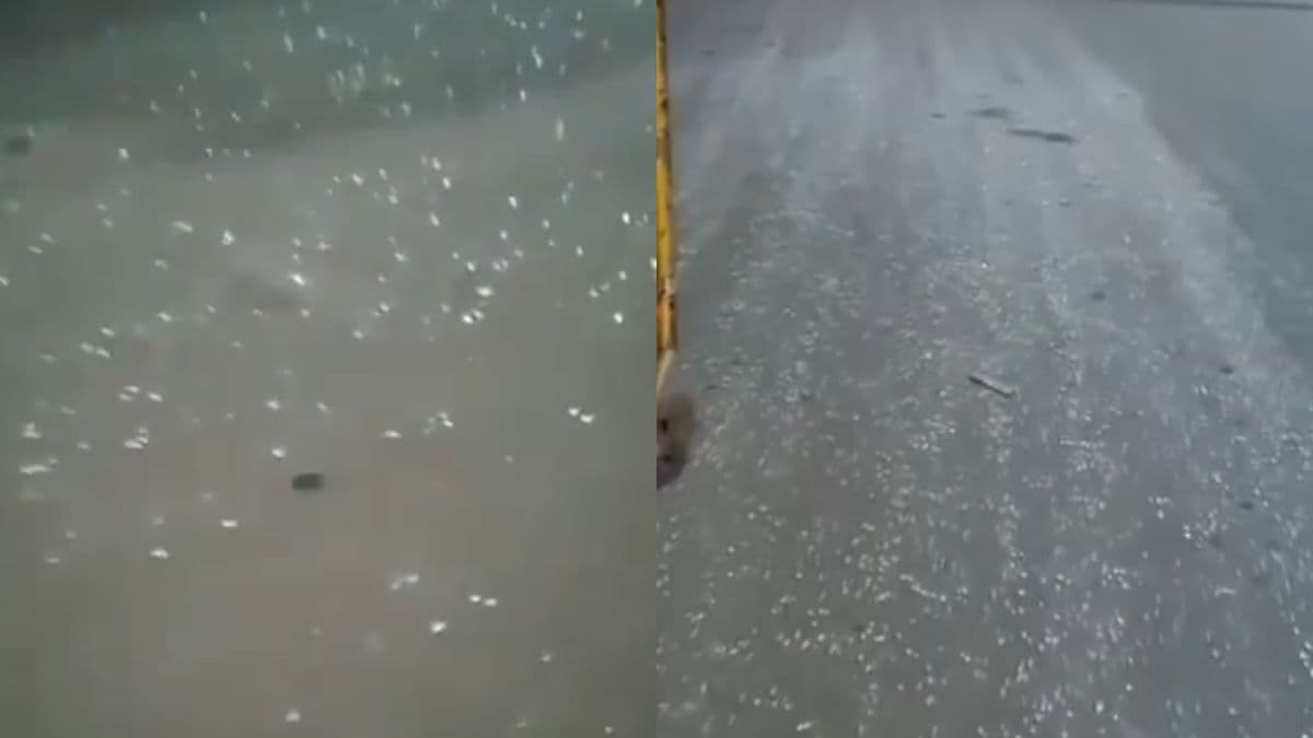 दिल्ली की सड़क पर कांच के टुकड़े किसने फेंके? हो गया खुलासा, पुलिस ने लिया एक्शन