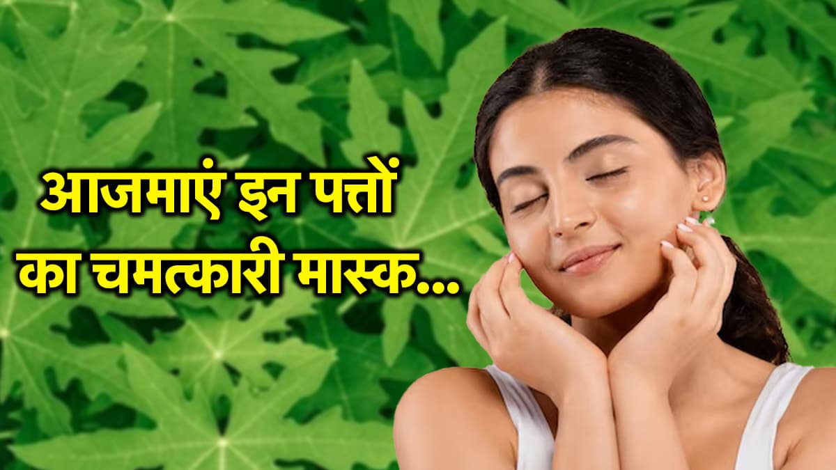 Papaya Leaf Face Mask Benefits: हर दिन लगाएं पपीते के पत्तों का मास्क और पाएं दमकती त्वचा, एक्सपर्ट की सलाह