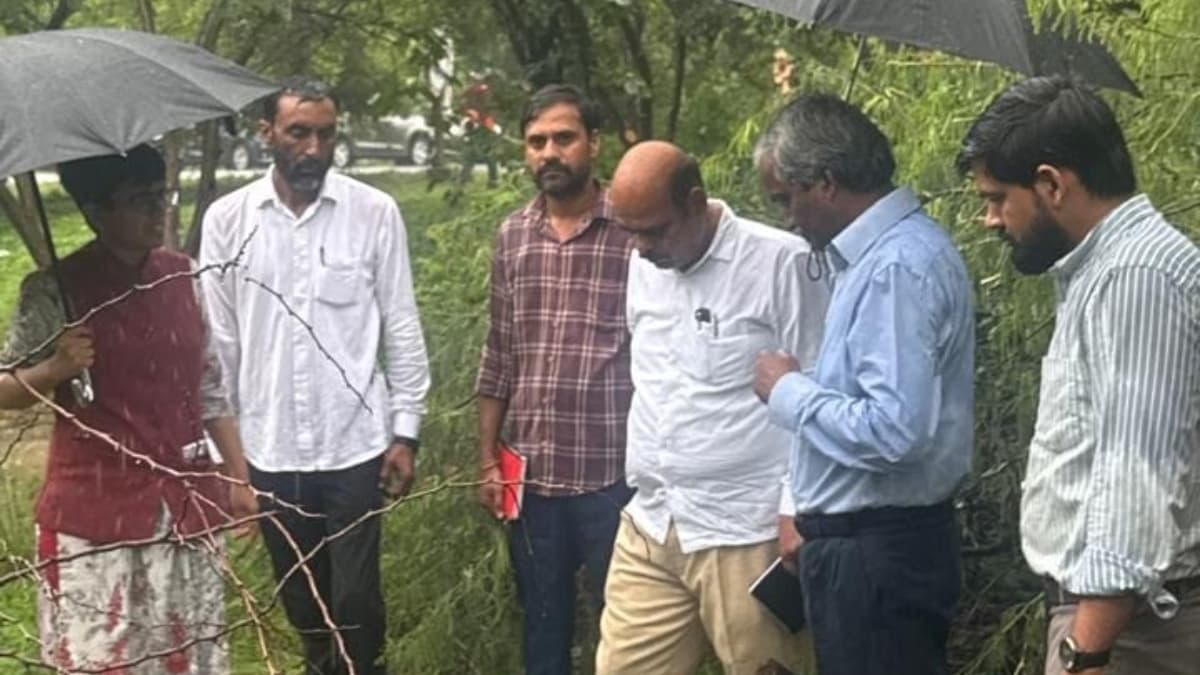 ग्रेटर नोएडा में पेड़ काटने पर बड़ा एक्शन, काॅन्ट्रैक्टर को ब्लैक लिस्ट कर एफआईआर की तैयारी