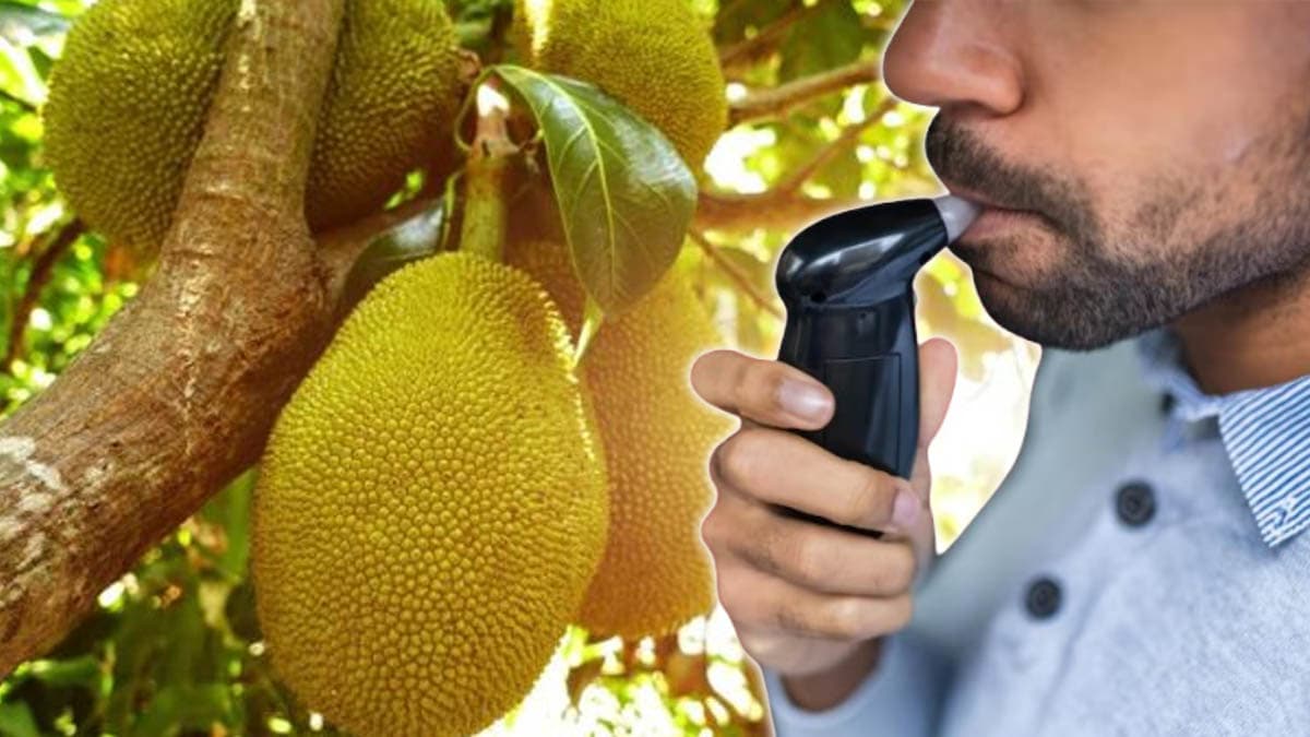 बिन पिए चढ़ा नशा, कटहल ने बजा दी ब्रेथ एनालाइजर की घंटी, पुलिस वाले भी हुए हैरान