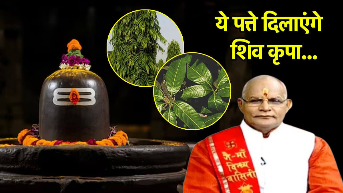 Kaalchakra: शिव कृपा पाने के लिए शिवलिंग पर अर्पित करें ये पत्ते, पंडित सुरेश पांडेय ने बताया महत्व और लाभ