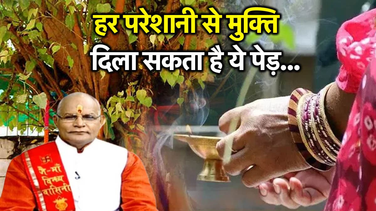 Kaalchakra: 1 पेड़ पूरी कर सकता है आपकी हर इच्छा, पंडित सुरेश पांडेय से जानें महत्व और उपाय