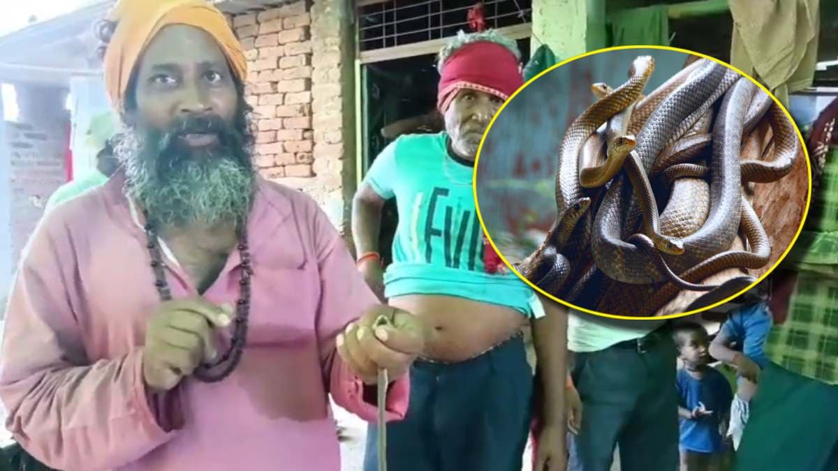 ललितपुर में एक घर से निकले 16 सांप, नागिन का किया गया रेस्क्यू, सपेरा बोला- 15 को मारा