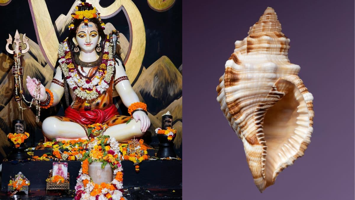 भगवान शिव की पूजा में भूलकर भी न बजाएं शंख, जानिए कारण?