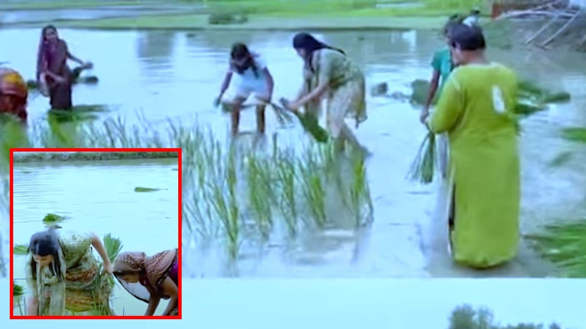 Video: धान रोपती दिखीं स्टार क्रिकेटर रिंकू सिंह की मंगेतर Priya Saroj, लोगों ने की तारीफ