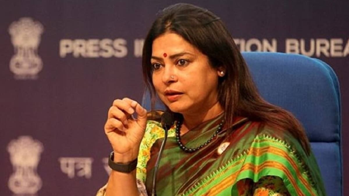 मीनाक्षी लेखी की चोट कितनी गंभीर? तिब्बत में हादसे का शिकार हुईं थीं BJP नेता