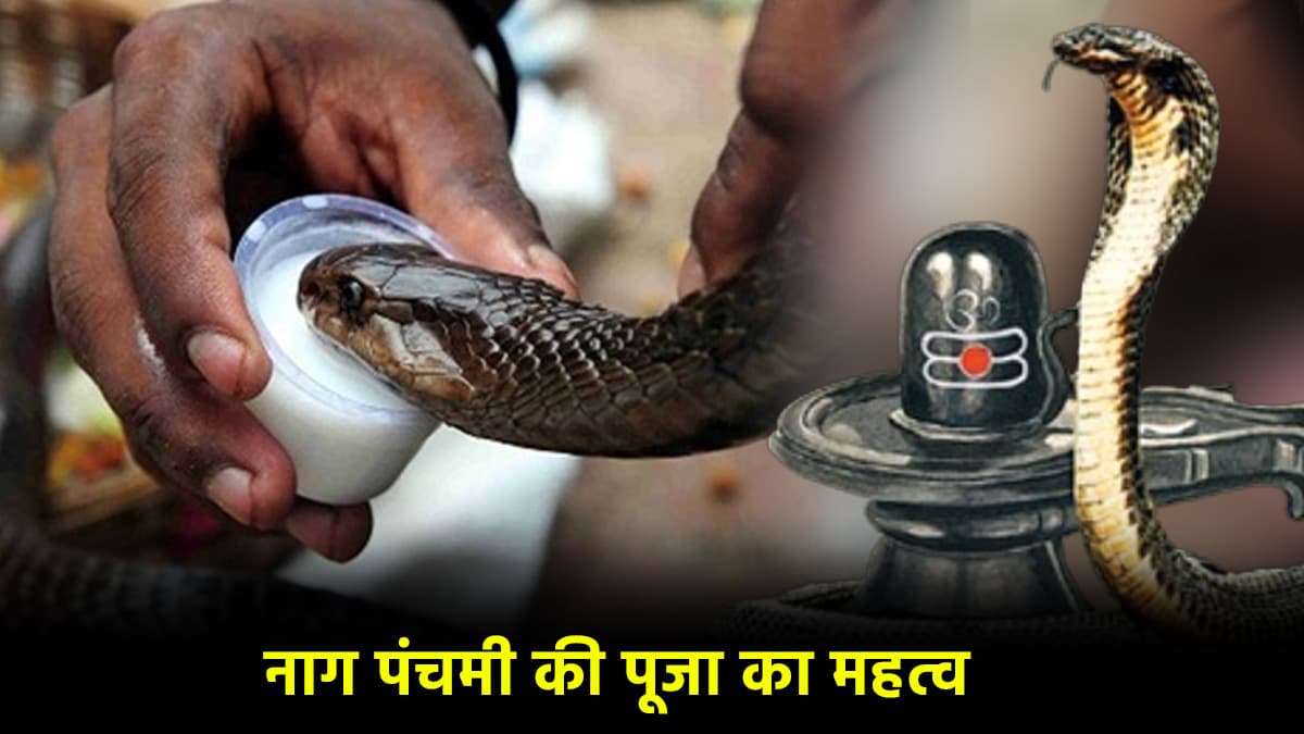 Nag Panchami 2025: नागों के दर्शन बिना अधूरी है नाग पंचमी की पूजा; जानें जीवित या मूर्ति, किसका करें पूजन?