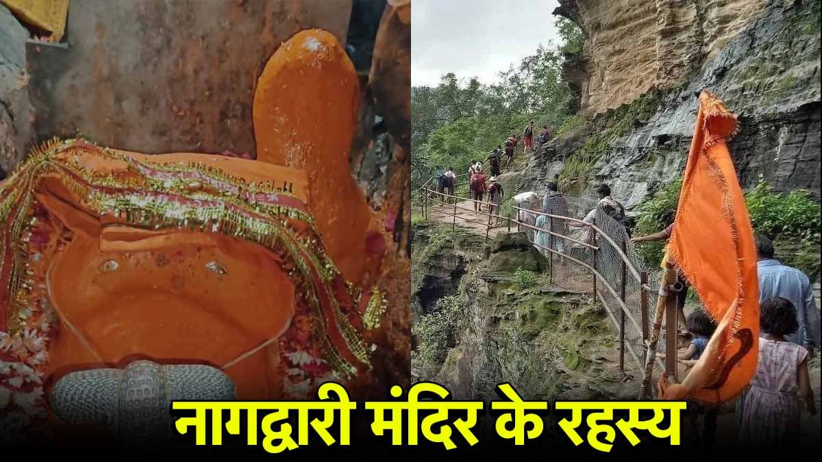Nag Panchami 2025: साल में केवल 10 दिन ही खुलता है ये मंदिर, 7 पहाड़ चढ़ने के बाद होते हैं नाग देवता के दर्शन
