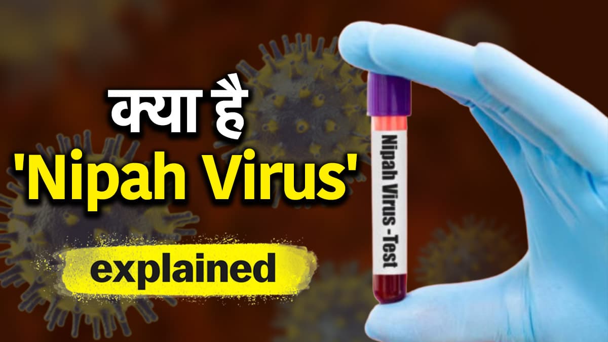 Nipah Virus Explained: 1998-99 में आया वायरस फिर से बना सिरदर्द, जानवरों से इंसानों में पहुंचकर कैसे बन रहा जानलेवा?