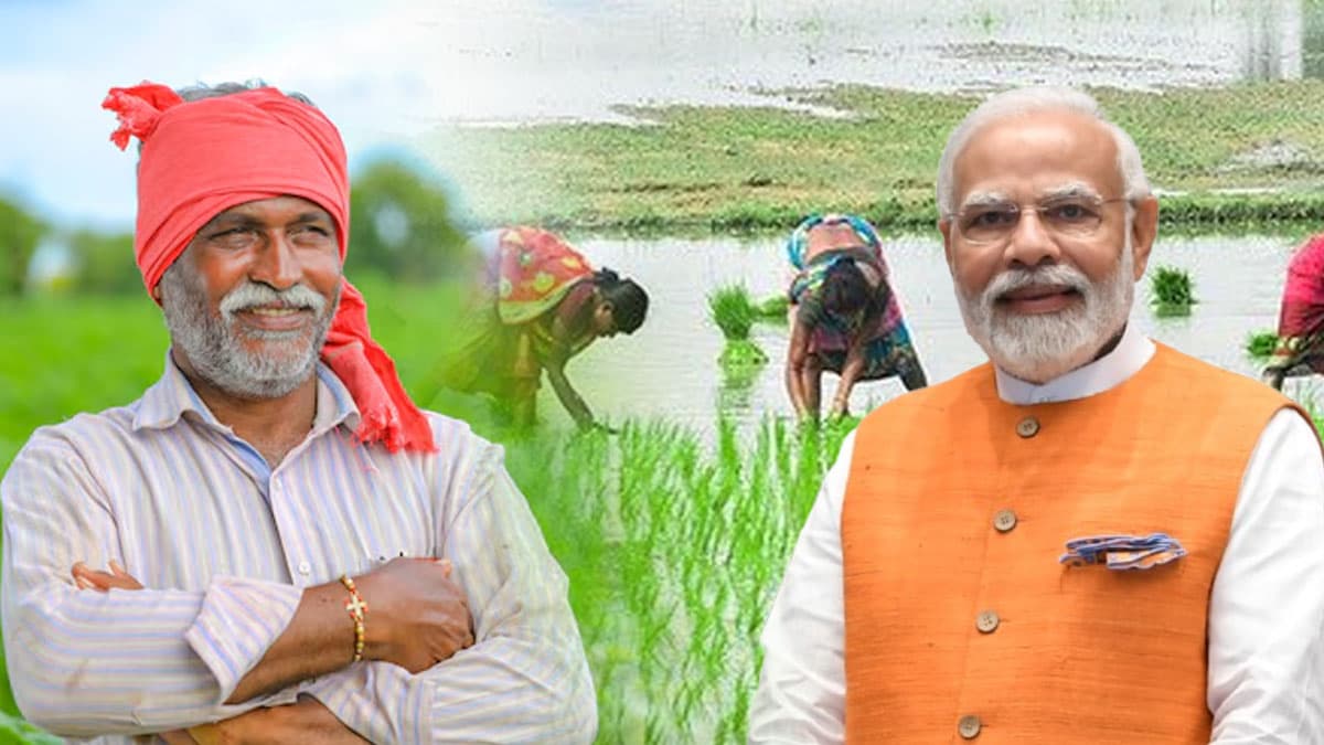 PM  Dhan Dhanya Krishi Yojana: क्या है पीएम धन धान्य कृषि योजना, जिसपर सालाना 24000 करोड़ रुपये खर्च करेगी सरकार