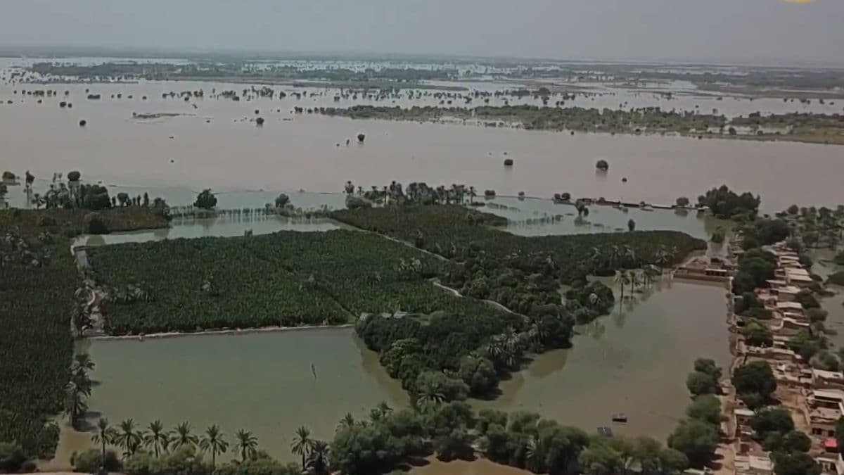 पाकिस्तान में तबाही के वीडियो देखें, आफत बनकर बरसे बादल, 20 दिन में 200 लोगों की मौत
