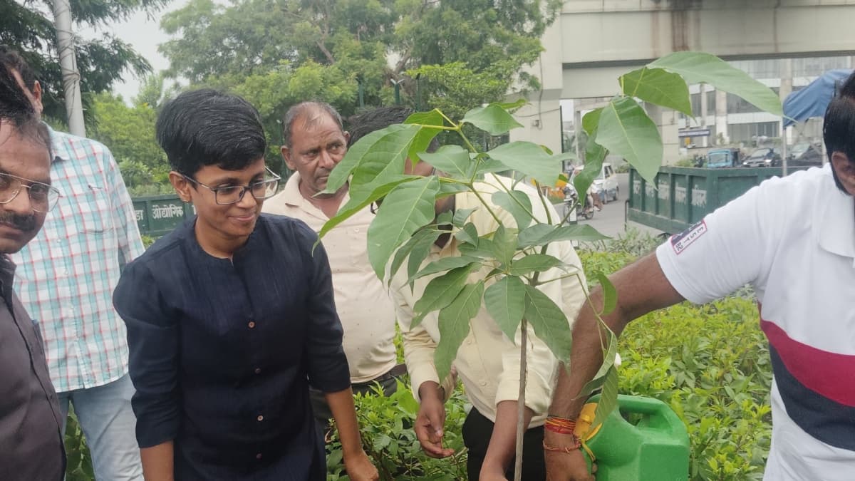 Plantation Greater Noida