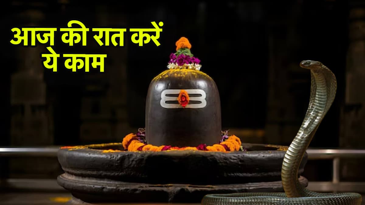 आज नाग पंचमी की रात जरूर करें ये काम, खुल जाएगी किस्मत