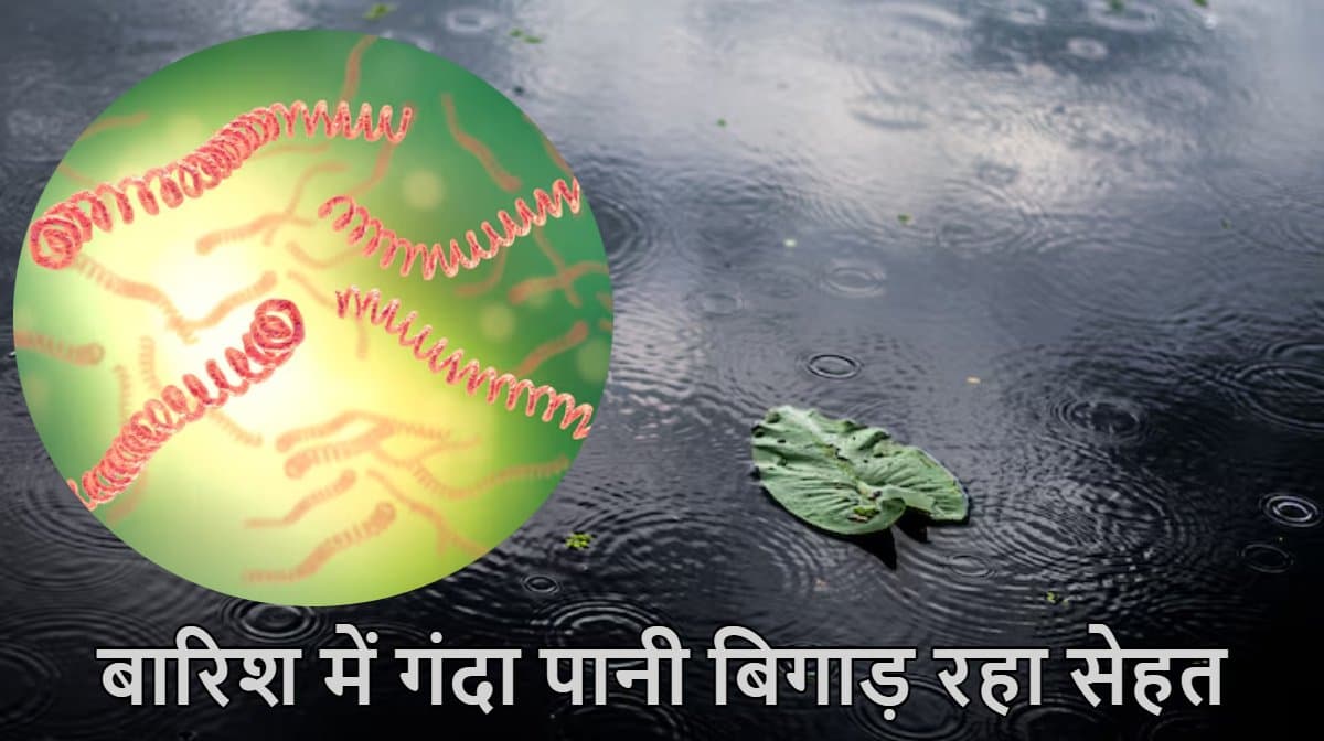 Monsoon Health Tips: बारिश के बाद बढ़ गया है लेप्टोसिरोसिस का खतरा, किन राज्यों में रिस्क ज्यादा?