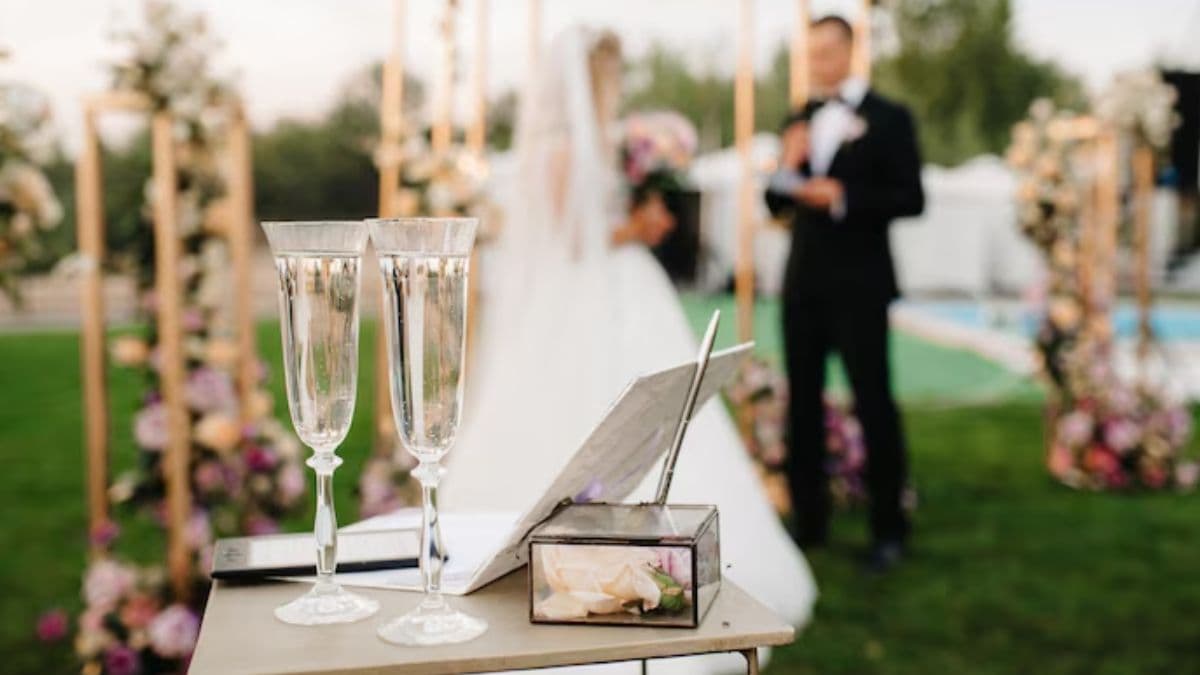 Newly Wed कपल ने पार्टी में ही जुटा लिया हनीमून का खर्चा, अनोखी शादी की सोशल मीडिया पर चर्चा